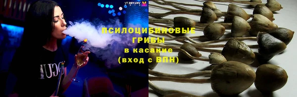 mdpv Верхний Тагил