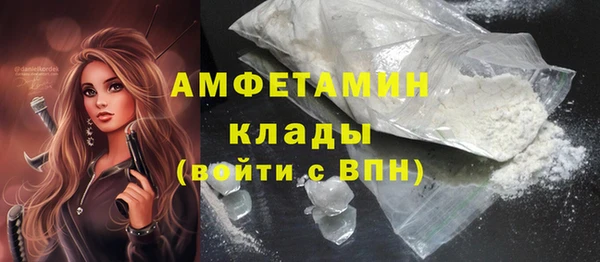 мдпв Бронницы