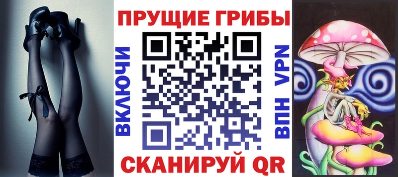 наркота  Вязники  Галлюциногенные грибы Cubensis 