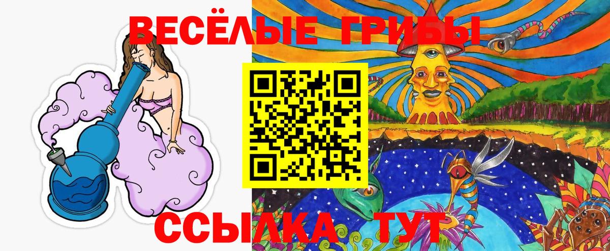 Вязники  Галлюциногенные грибы Cubensis  Вход с VPN 